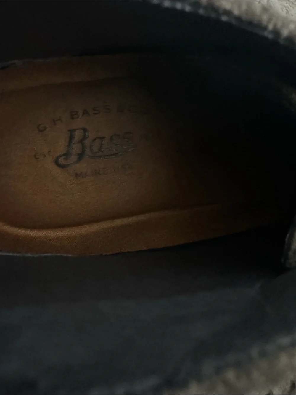 Bass suede chukka